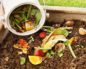 Какие пищевые отходы можно использовать для удобрения огорода